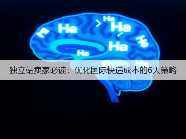独立站卖家必读:优化国际快递成本的6大策略(图2) 独立站卖家必读:优化国际快递成本的6大策略(图2)