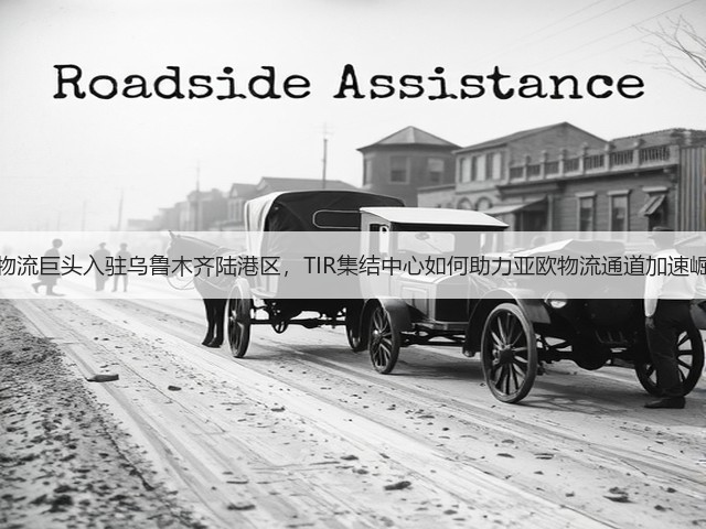 欧洲物流巨头入驻乌鲁木齐陆港区,TIR集结中心如何助力亚欧物流通道加速崛起?(图2) 欧洲物流巨头入驻乌鲁木齐陆港区,TIR集结中心如何助力亚欧物流通道加速崛起?(图2)