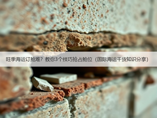 旺季海运订舱难?教你3个技巧抢占舱位(国际海运干货知识分享)(图2) 旺季海运订舱难?教你3个技巧抢占舱位(国际海运干货知识分享)(图2)