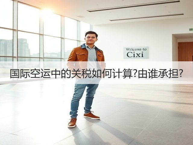 国际空运中的关税如何计算?由谁承担?(图3) 国际空运中的关税如何计算?由谁承担?(图3)