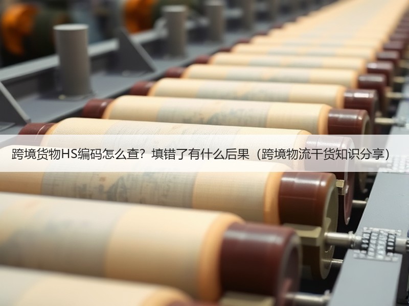 跨境货物HS编码怎么查?填错了有什么后果(跨境物流干货知识分享) 跨境货物HS编码怎么查?填错了有什么后果(跨境物流干货知识分享)
