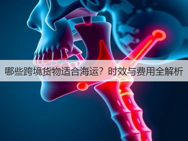 哪些跨境货物适合海运?时效与费用全解析(图3) 哪些跨境货物适合海运?时效与费用全解析(图3)