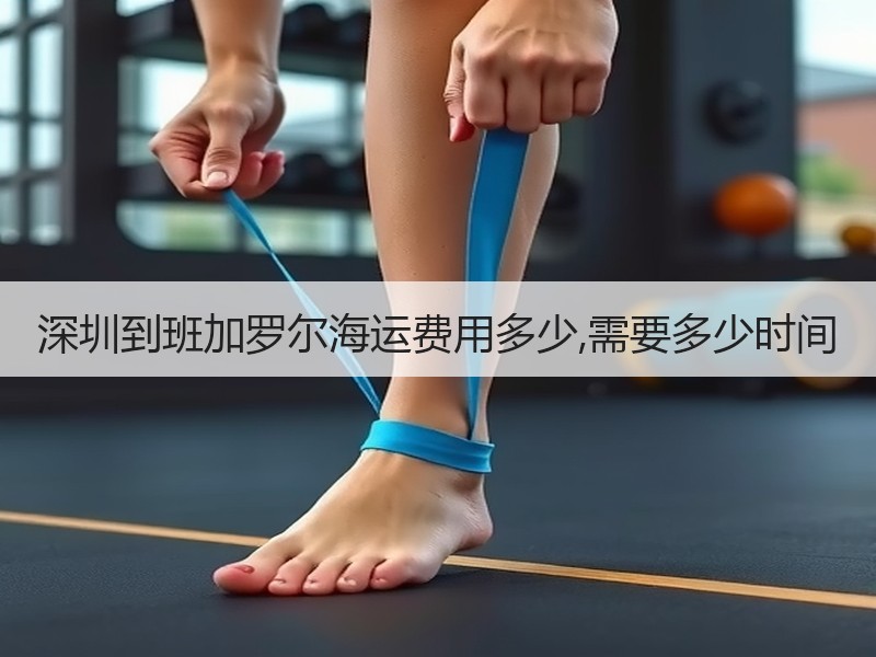 深圳到班加罗尔海运费用多少,需要多少时间 深圳到班加罗尔海运费用多少,需要多少时间