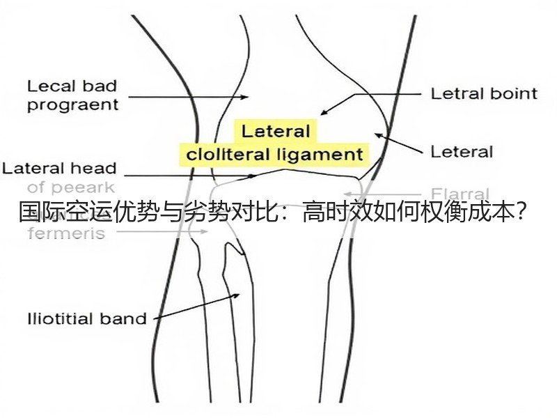 国际空运优势与劣势对比:高时效如何权衡成本? 国际空运优势与劣势对比:高时效如何权衡成本?