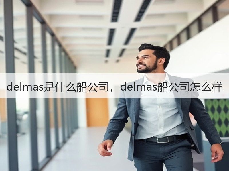 delmas是什么船公司，delmas船公司怎么样