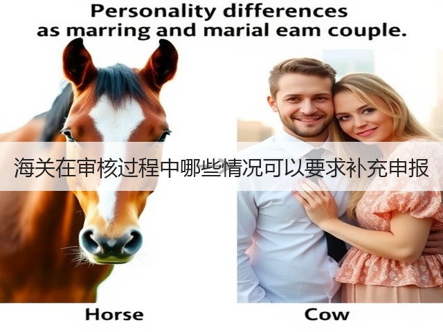 海关在审核过程中哪些情况可以要求补充申报(图1) 海关在审核过程中哪些情况可以要求补充申报(图1)