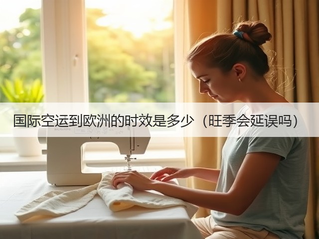国际空运到欧洲的时效是多少（旺季会延误吗）(图2)