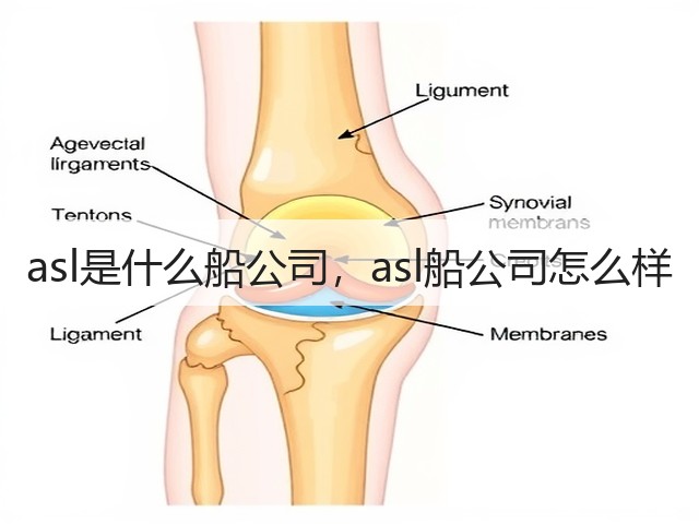 asl是什么船公司，asl船公司怎么样(图1)