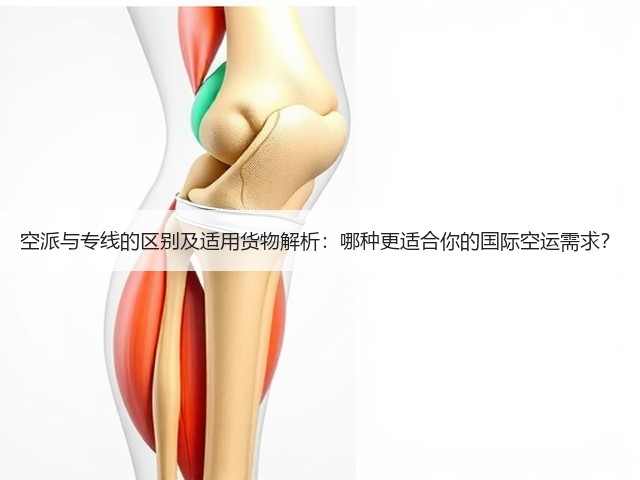 空派与专线的区别及适用货物解析：哪种更适合你的国际空运需求？(图3)