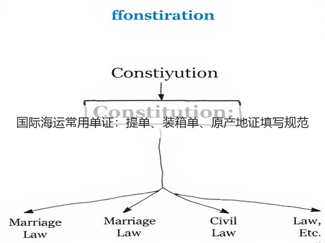 国际海运常用单证：提单、装箱单、原产地证填写规范(图1)