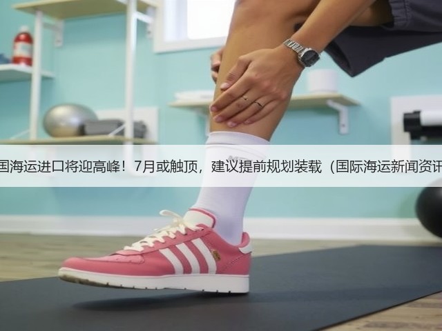 美国海运进口将迎高峰!7月或触顶,建议提前规划装载(国际海运新闻资讯)(图3) 美国海运进口将迎高峰!7月或触顶,建议提前规划装载(国际海运新闻资讯)(图3)