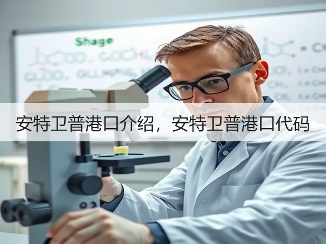 安特卫普港口介绍,安特卫普港口代码(图2) 安特卫普港口介绍,安特卫普港口代码(图2)