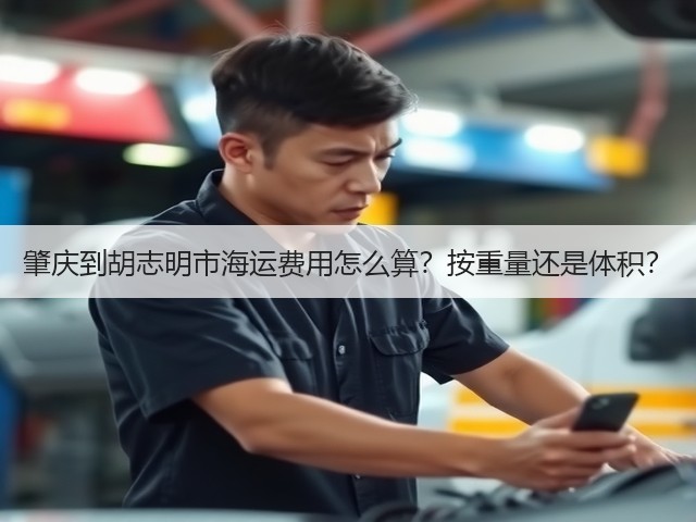 肇庆到胡志明市海运费用怎么算?按重量还是体积?(图1) 肇庆到胡志明市海运费用怎么算?按重量还是体积?(图1)