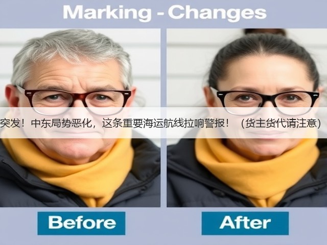 突发!中东局势恶化,这条重要海运航线拉响警报!(货主货代请注意)(图3) 突发!中东局势恶化,这条重要海运航线拉响警报!(货主货代请注意)(图3)