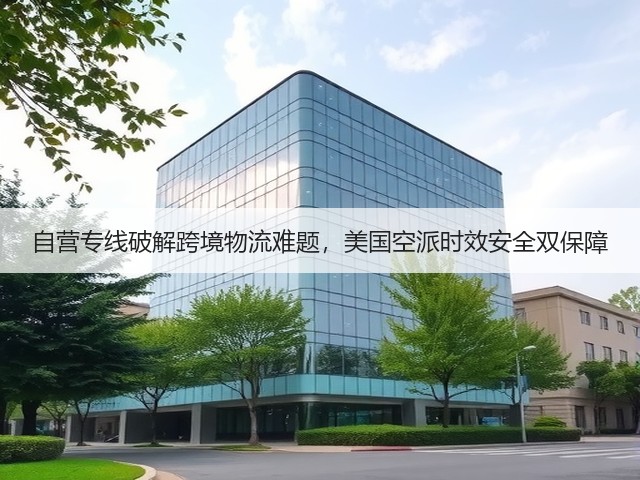 自营专线破解跨境物流难题，美国空派时效安全双保障(图1)