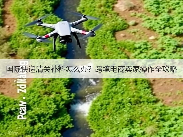 国际快递清关补料怎么办？跨境电商卖家操作全攻略(图2)