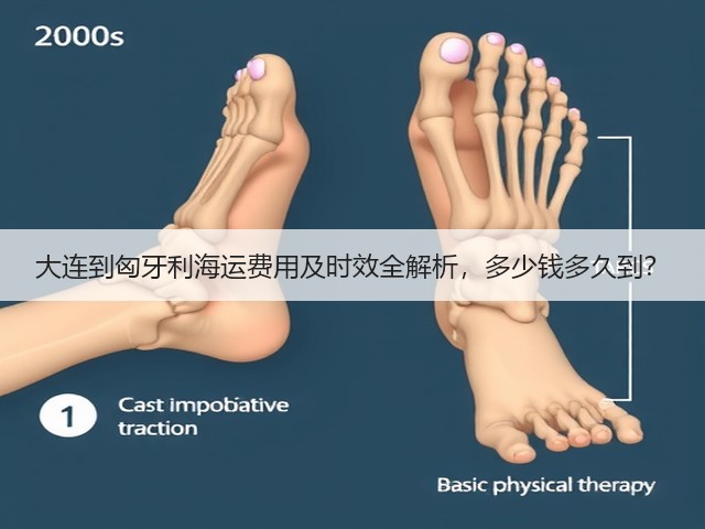 大连到匈牙利海运费用及时效全解析，多少钱多久到？(图2)