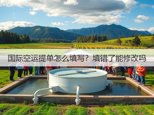 国际空运提单怎么填写?填错了能修改吗(图1) 国际空运提单怎么填写?填错了能修改吗(图1)