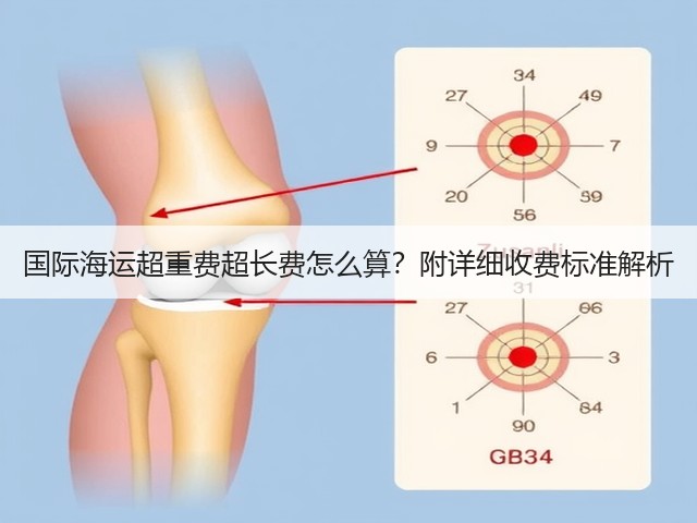 国际海运超重费超长费怎么算?附详细收费标准解析(图3) 国际海运超重费超长费怎么算?附详细收费标准解析(图3)
