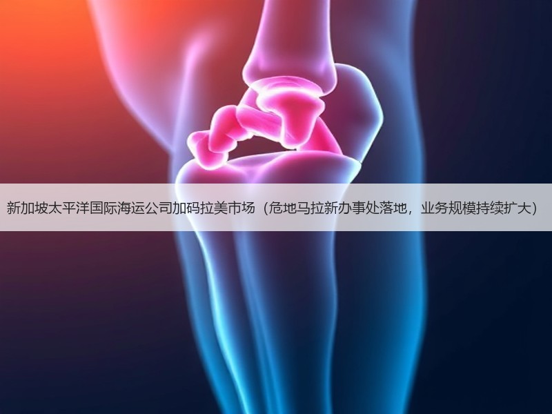 新加坡太平洋国际海运公司加码拉美市场（危地马拉新办事处落地，业务规模持续扩大）