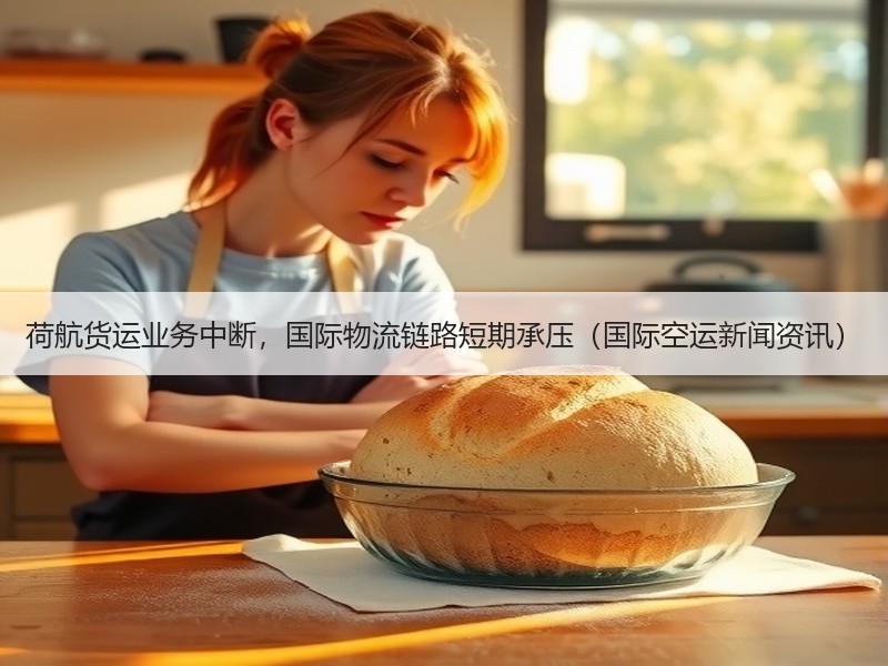 荷航货运业务中断,国际物流链路短期承压(国际空运新闻资讯) 荷航货运业务中断,国际物流链路短期承压(国际空运新闻资讯)