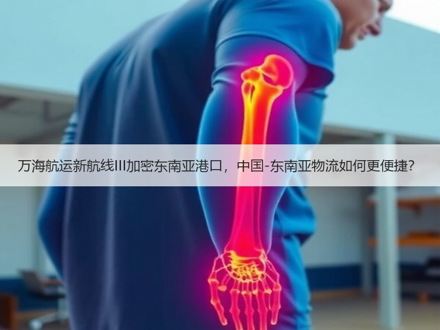 万海航运新航线III加密东南亚港口,中国-东南亚物流如何更便捷?(图1) 万海航运新航线III加密东南亚港口,中国-东南亚物流如何更便捷?(图1)