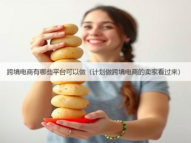 跨境电商有哪些平台可以做（计划做跨境电商的卖家看过来）(图2)