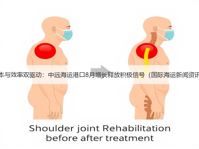 成本与效率双驱动:中远海运港口8月增长释放积极信号(国际海运新闻资讯)(图2) 成本与效率双驱动:中远海运港口8月增长释放积极信号(国际海运新闻资讯)(图2)