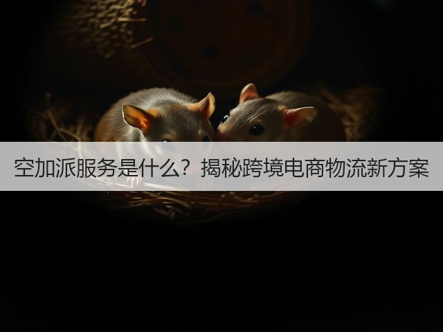 空加派服务是什么?揭秘跨境电商物流新方案(图3) 空加派服务是什么?揭秘跨境电商物流新方案(图3)