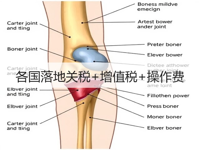 各国落地关税+增值税+操作费(图2) 各国落地关税+增值税+操作费(图2)