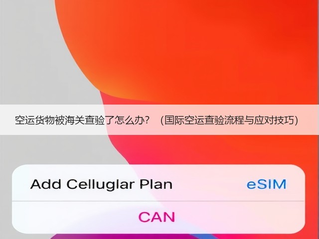 空运货物被海关查验了怎么办?(国际空运查验流程与应对技巧)(图3) 空运货物被海关查验了怎么办?(国际空运查验流程与应对技巧)(图3)