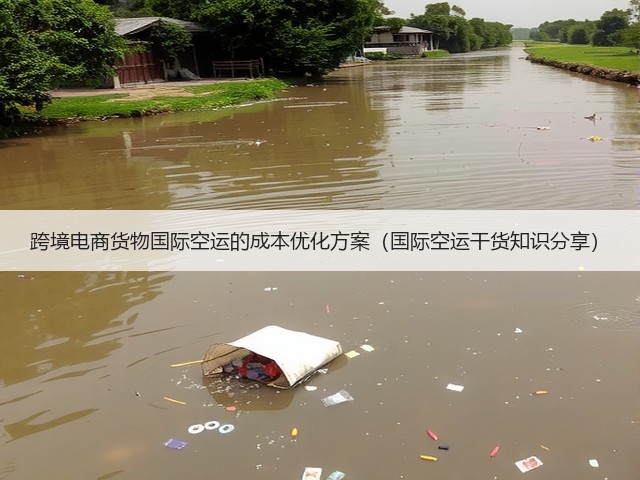 跨境电商货物国际空运的成本优化方案(国际空运干货知识分享)(图2) 跨境电商货物国际空运的成本优化方案(国际空运干货知识分享)(图2)