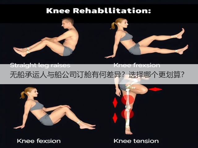 无船承运人与船公司订舱有何差异？选择哪个更划算？(图2)