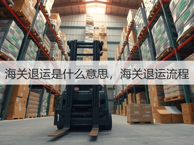 海关退运是什么意思,海关退运流程(图2) 海关退运是什么意思,海关退运流程(图2)