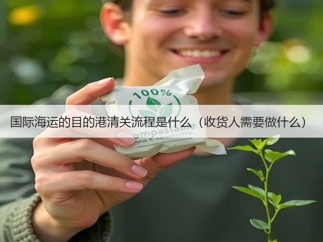 国际海运的目的港清关流程是什么(收货人需要做什么)(图1) 国际海运的目的港清关流程是什么(收货人需要做什么)(图1)
