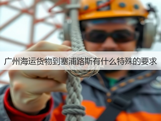 广州海运货物到塞浦路斯有什么特殊的要求(图3) 广州海运货物到塞浦路斯有什么特殊的要求(图3)