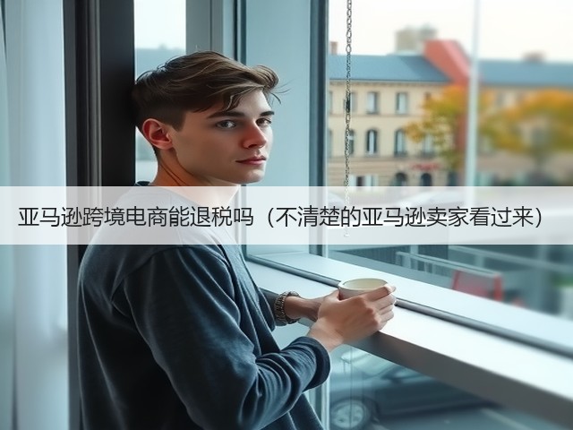 亚马逊跨境电商能退税吗（不清楚的亚马逊卖家看过来）(图3)