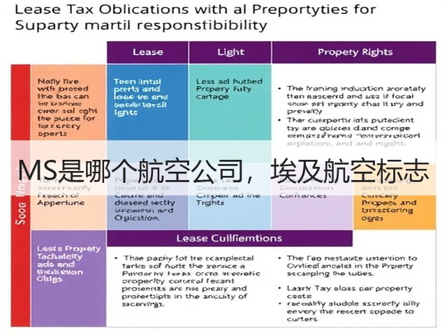 MS是哪个航空公司，埃及航空标志(图1)