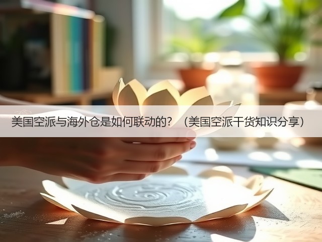 美国空派与海外仓是如何联动的?(美国空派干货知识分享)(图1) 美国空派与海外仓是如何联动的?(美国空派干货知识分享)(图1)