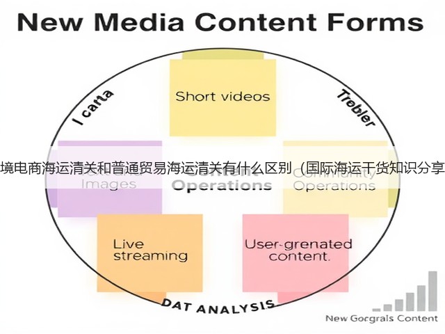 跨境电商海运清关和普通贸易海运清关有什么区别(国际海运干货知识分享)(图3) 跨境电商海运清关和普通贸易海运清关有什么区别(国际海运干货知识分享)(图3)