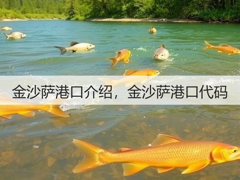 金沙萨港口介绍,金沙萨港口代码 金沙萨港口介绍,金沙萨港口代码