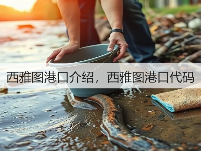 西雅图港口介绍,西雅图港口代码(图1) 西雅图港口介绍,西雅图港口代码(图1)