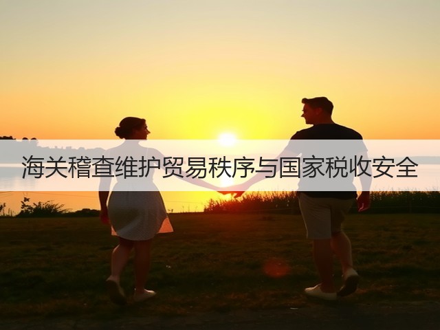 海关稽查维护贸易秩序与国家税收安全(图3) 海关稽查维护贸易秩序与国家税收安全(图3)