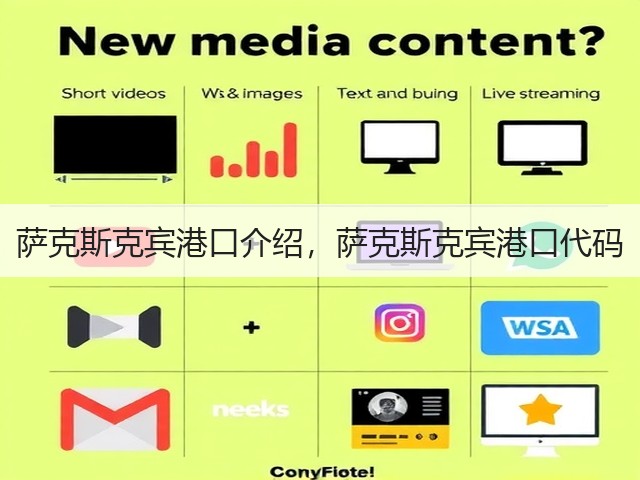 萨克斯克宾港口介绍,萨克斯克宾港口代码(图2) 萨克斯克宾港口介绍,萨克斯克宾港口代码(图2)