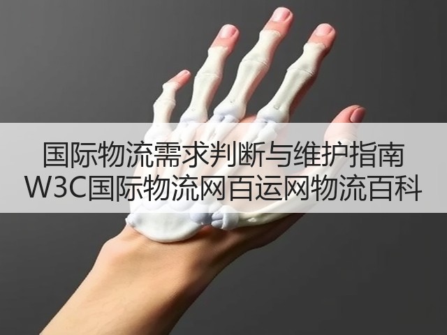 国际物流需求判断与维护指南 W3C国际物流网百运网物流百科(图3)