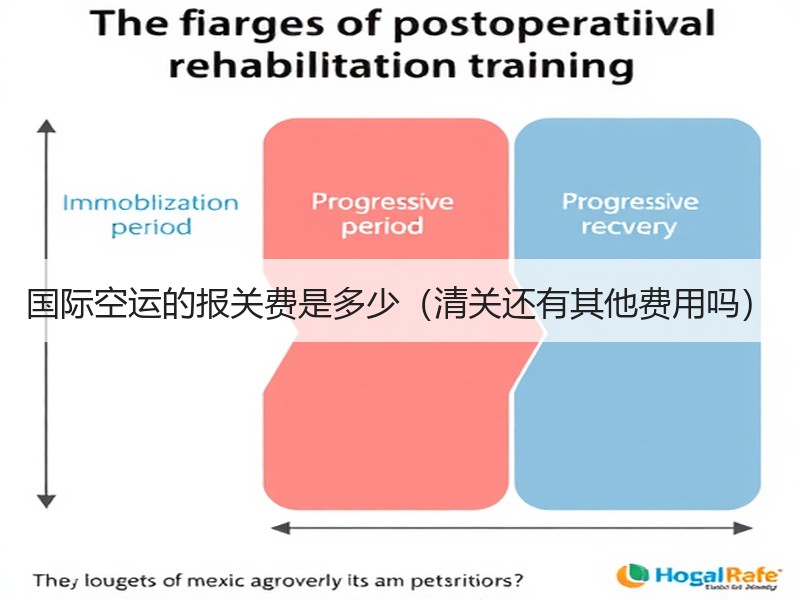 国际空运的报关费是多少（清关还有其他费用吗）