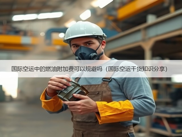 国际空运中的燃油附加费可以规避吗(国际空运干货知识分享)(图1) 国际空运中的燃油附加费可以规避吗(国际空运干货知识分享)(图1)