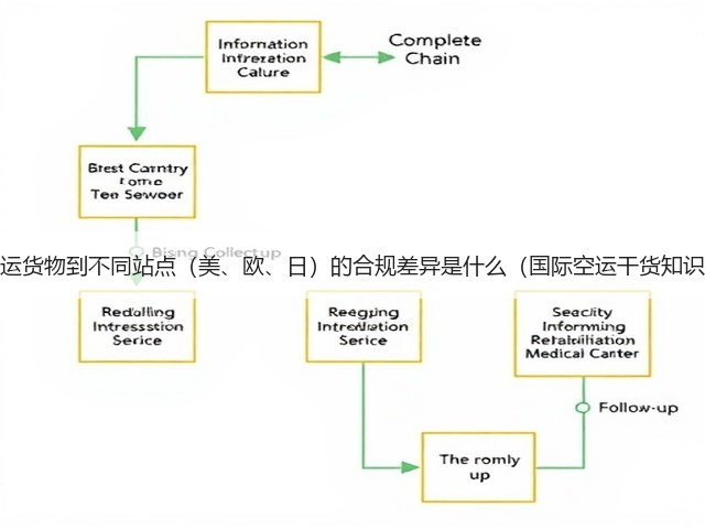 国际空运货物到不同站点(美、欧、日)的合规差异是什么(国际空运干货知识分享)(图1) 国际空运货物到不同站点(美、欧、日)的合规差异是什么(国际空运干货知识分享)(图1)