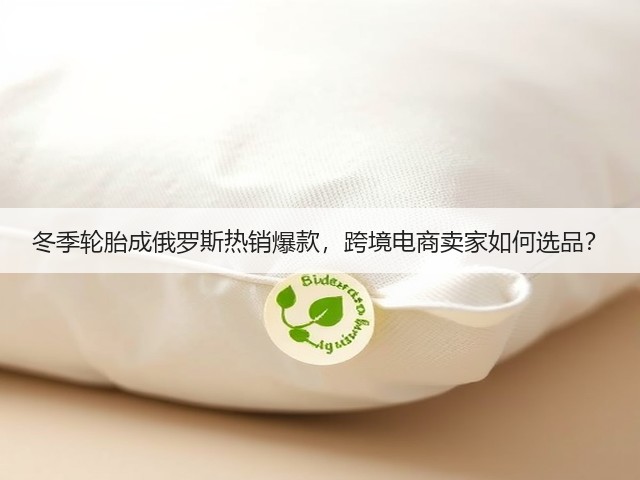 冬季轮胎成俄罗斯热销爆款,跨境电商卖家如何选品?(图2) 冬季轮胎成俄罗斯热销爆款,跨境电商卖家如何选品?(图2)