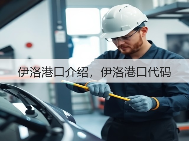 伊洛港口介绍,伊洛港口代码(图3) 伊洛港口介绍,伊洛港口代码(图3)